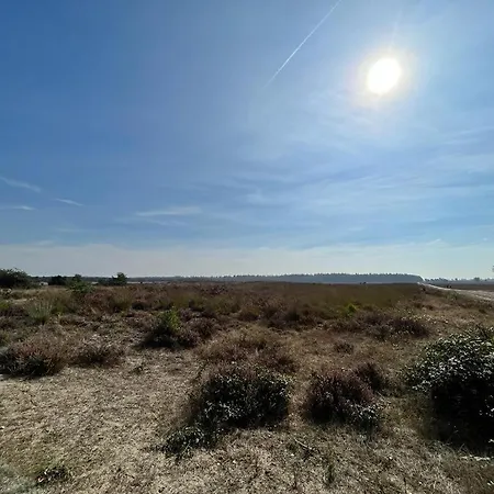 Cozy With Wood Stove And Veranda Putten