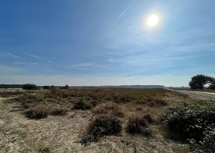 Cozy With Wood Stove And Veranda Putten