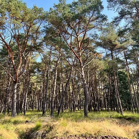 Cozy With Wood Stove And Veranda Putten